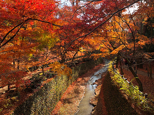 北野天満宮 もみじ苑