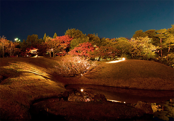 梅小路公園 朱雀の庭の紅葉の場所と時間 ライトアップは穴場デートにおすすめ 京都人気観光おすすめスポット 京都暮らしのブログ